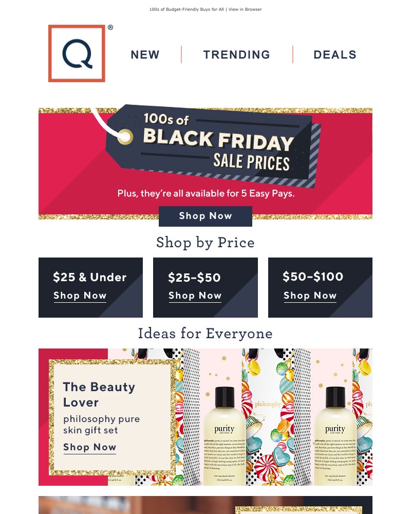 Screenshot of email with subject /media/emails/our-gift-to-you-early-black-friday-deals-63bc0b-cropped-f94e367b.jpg