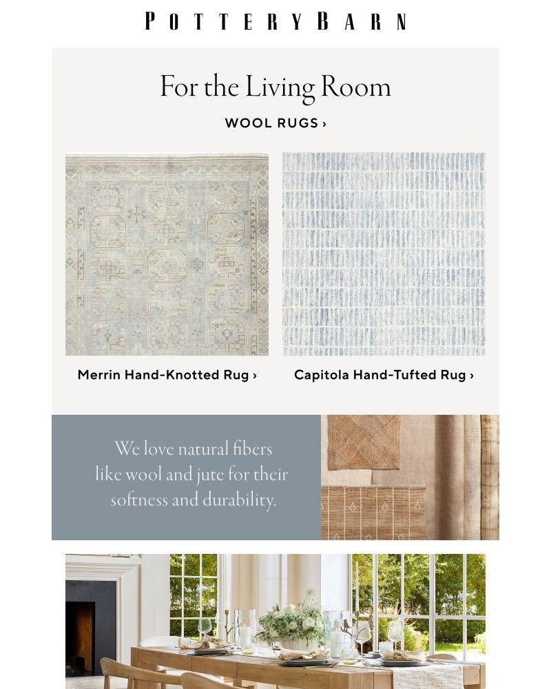 Screenshot of email with subject /media/emails/our-go-to-rugs-for-every-room-45fa75-cropped-841fc233.jpg