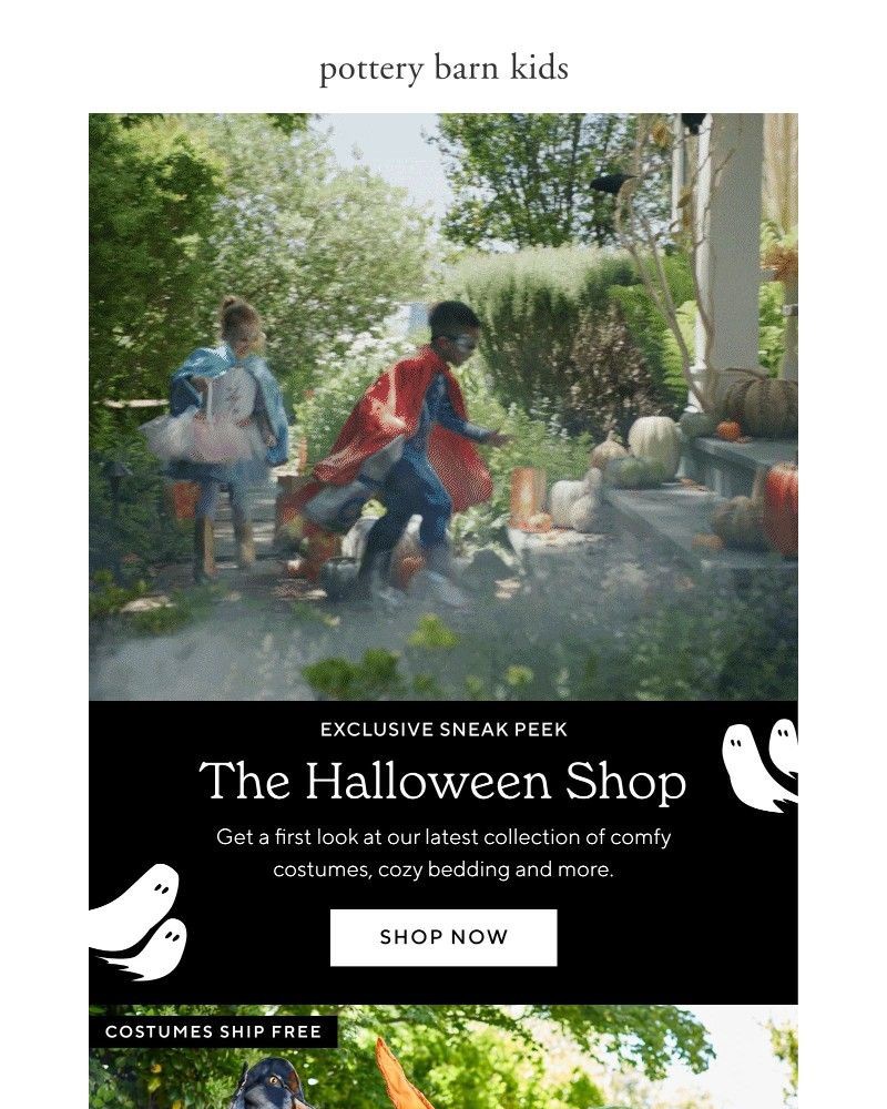 Screenshot of email with subject /media/emails/our-halloween-shop-is-ooooooopen-e50c22-cropped-7846098e.jpg