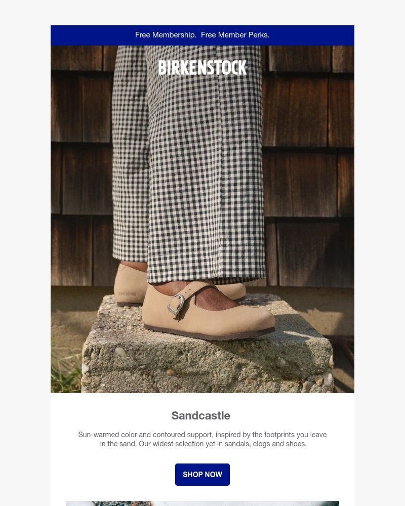 Screenshot of email with subject /media/emails/our-largest-sandcastle-collection-yet-08b8c4-cropped-93319a21.jpg