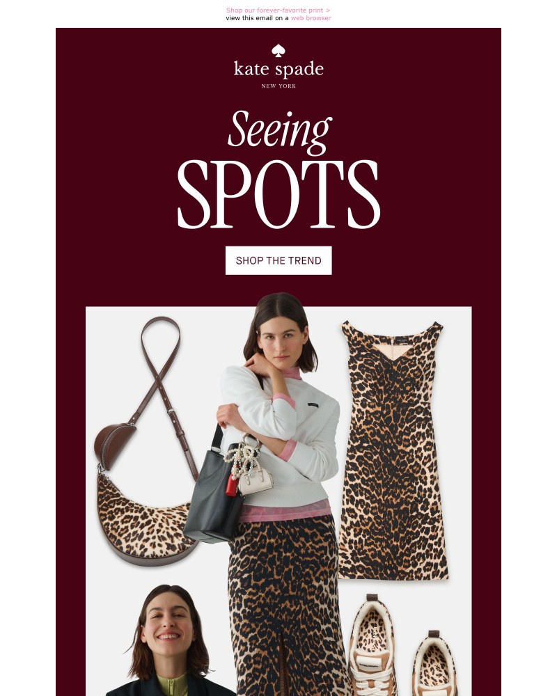 Screenshot of email with subject /media/emails/our-latest-and-greatest-and-leopard-est-c50379-cropped-ea53bf18.jpg