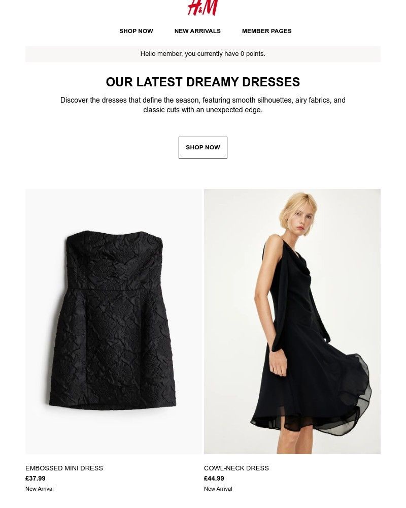 Screenshot of email with subject /media/emails/our-latest-dreamy-dresses-280f8b-cropped-eb9468a0.jpg