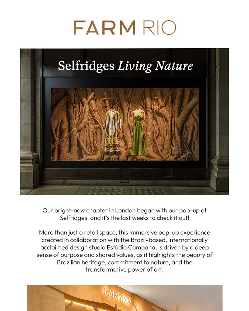 Screenshot of email with subject /media/emails/our-living-nature-pop-up-at-selfridges-bb8437-cropped-eb454b69.jpg