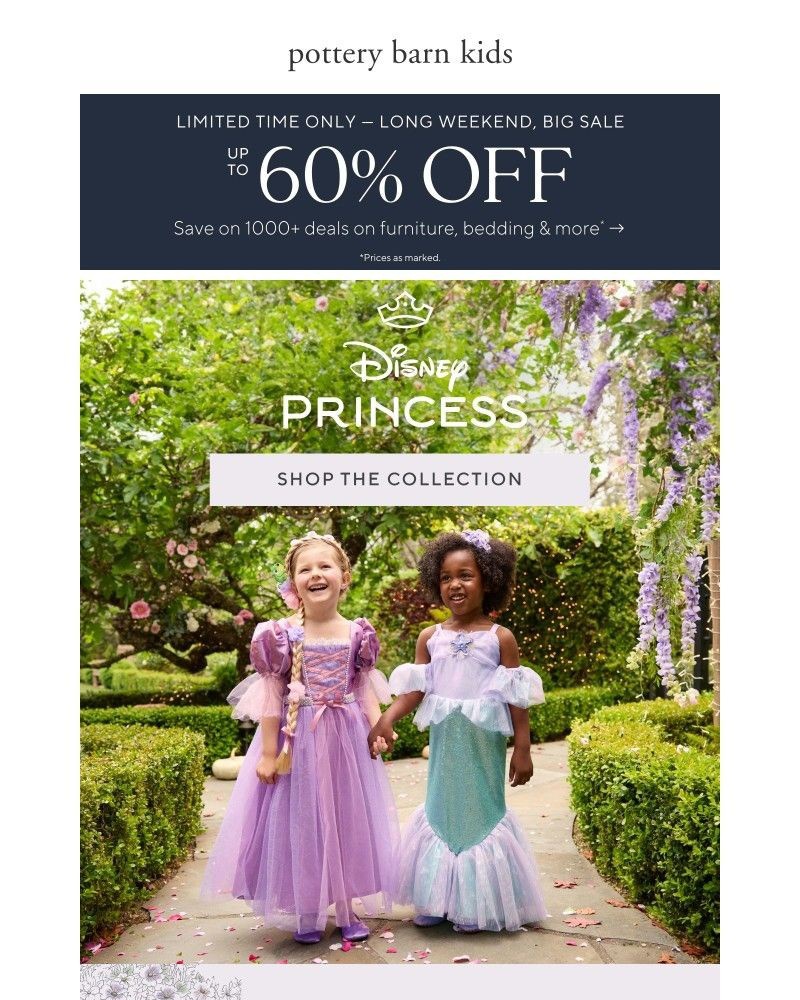 Screenshot of email with subject /media/emails/our-long-weekend-big-sale-is-on-06103f-cropped-8fdd6976.jpg