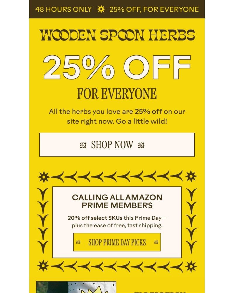 Screenshot of email with subject /media/emails/our-most-abundant-prime-day-yet-df8959-cropped-fdbd0bbd.jpg