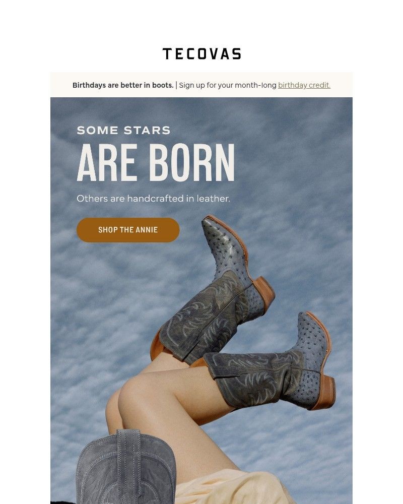 Screenshot of email sent to a Tecovas Newsletter subscriber