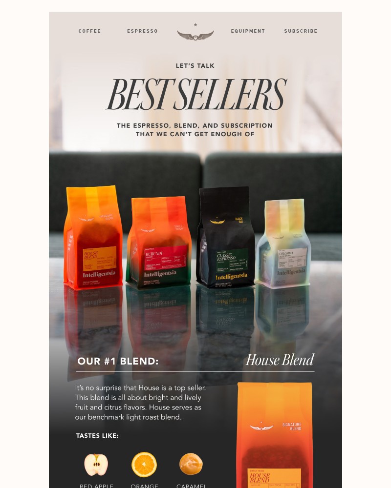 Screenshot of email with subject /media/emails/our-most-popular-products-picked-by-you-fc1062-cropped-46f90d0e.jpg