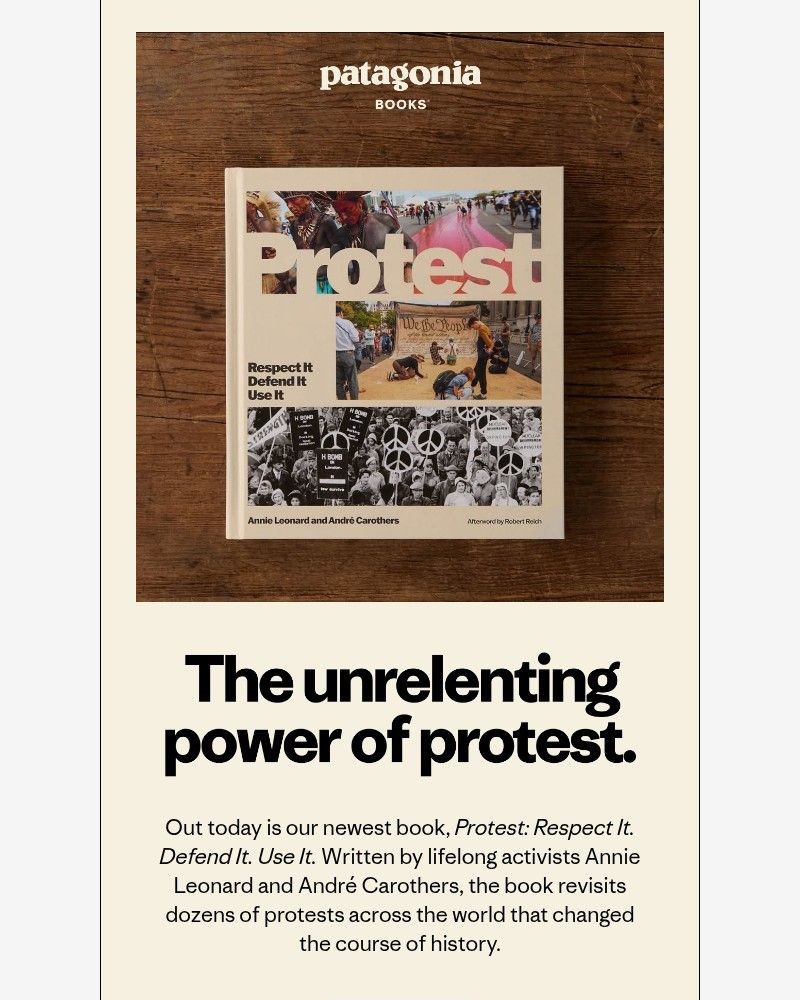 Screenshot of email with subject /media/emails/our-new-book-protest-is-out-today-ede702-cropped-0b73ab37.jpg