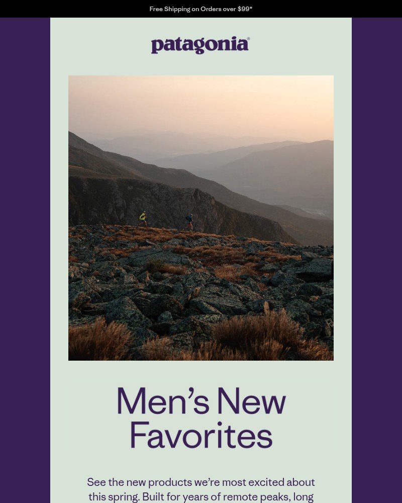 Screenshot of email sent to a Patagonia Newsletter subscriber