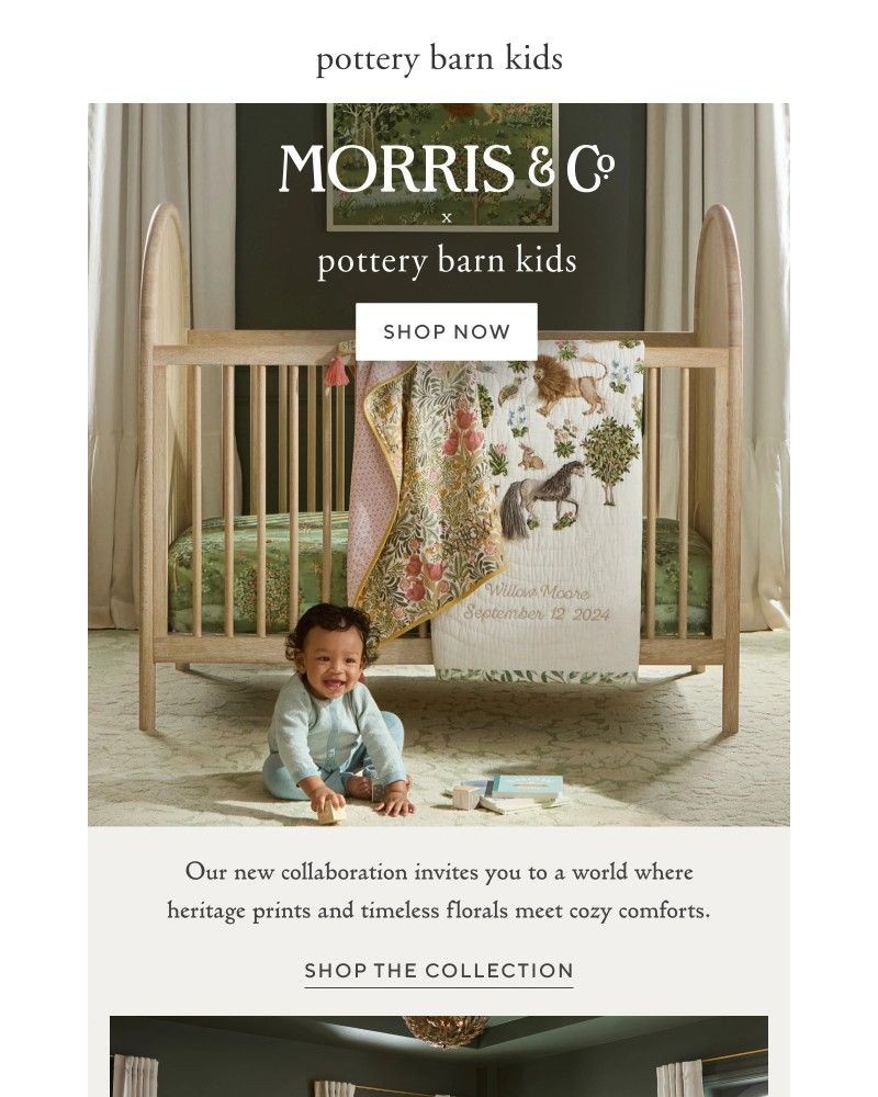 Screenshot of email with subject /media/emails/our-new-morris-co-collaboration-is-here-956003-cropped-0b08a641.jpg