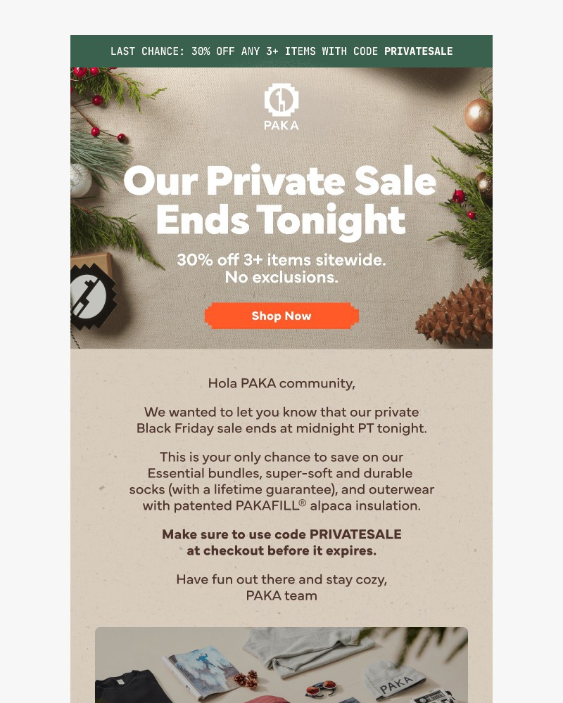 Screenshot of email sent to a Paka Newsletter subscriber