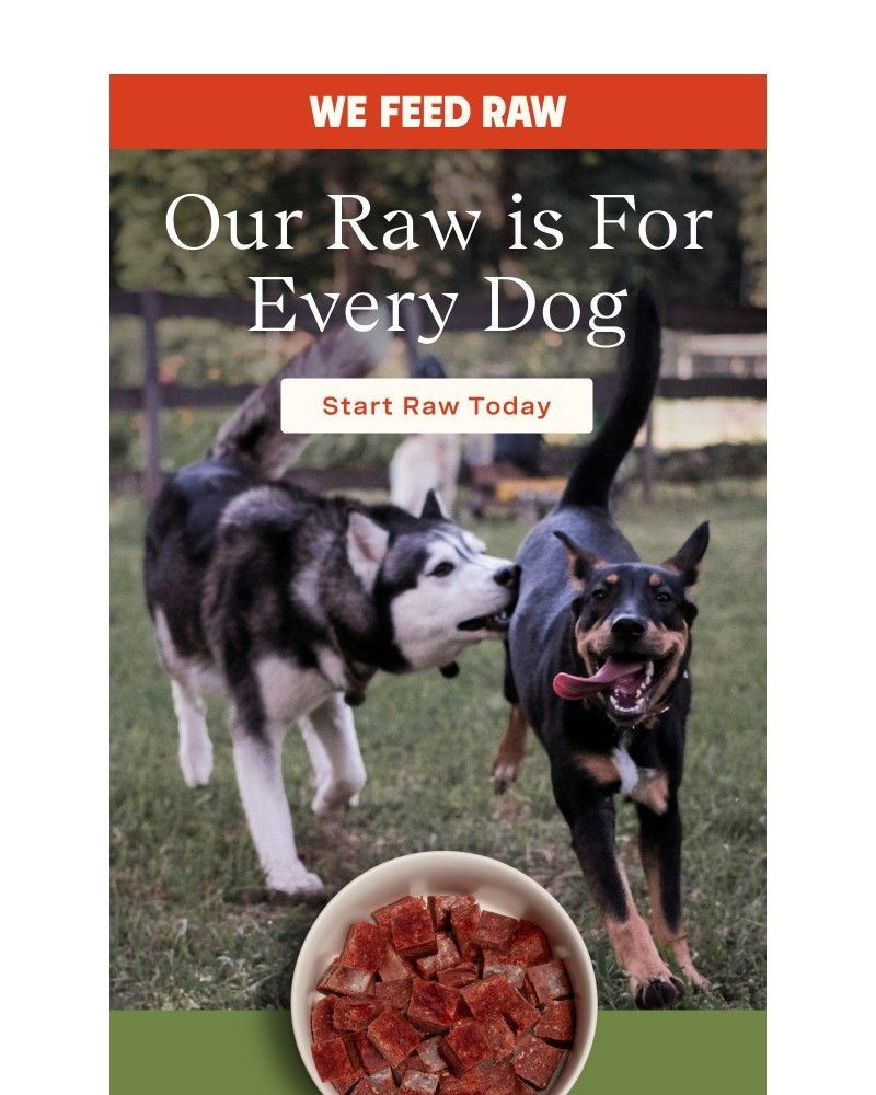 Screenshot of email with subject /media/emails/our-raw-is-perfect-for-your-pup-18b7ec-cropped-101c34c8.jpg