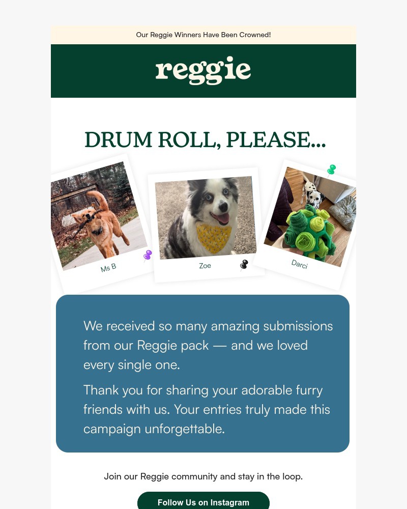 Screenshot of email with subject /media/emails/our-reggie-winners-have-been-crowned-f1740c-cropped-064329b9.jpg