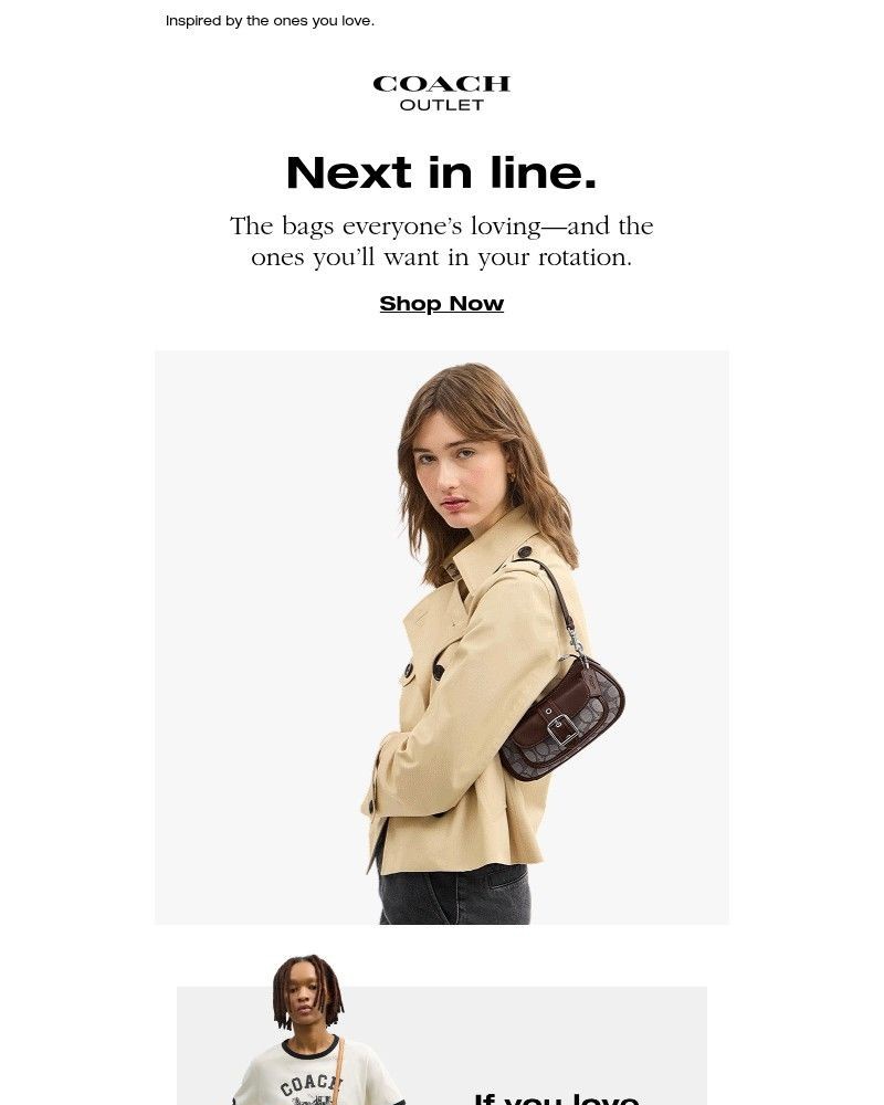 Screenshot of email with subject /media/emails/our-roundup-of-must-have-bags-94d102-cropped-8a63fb02.jpg