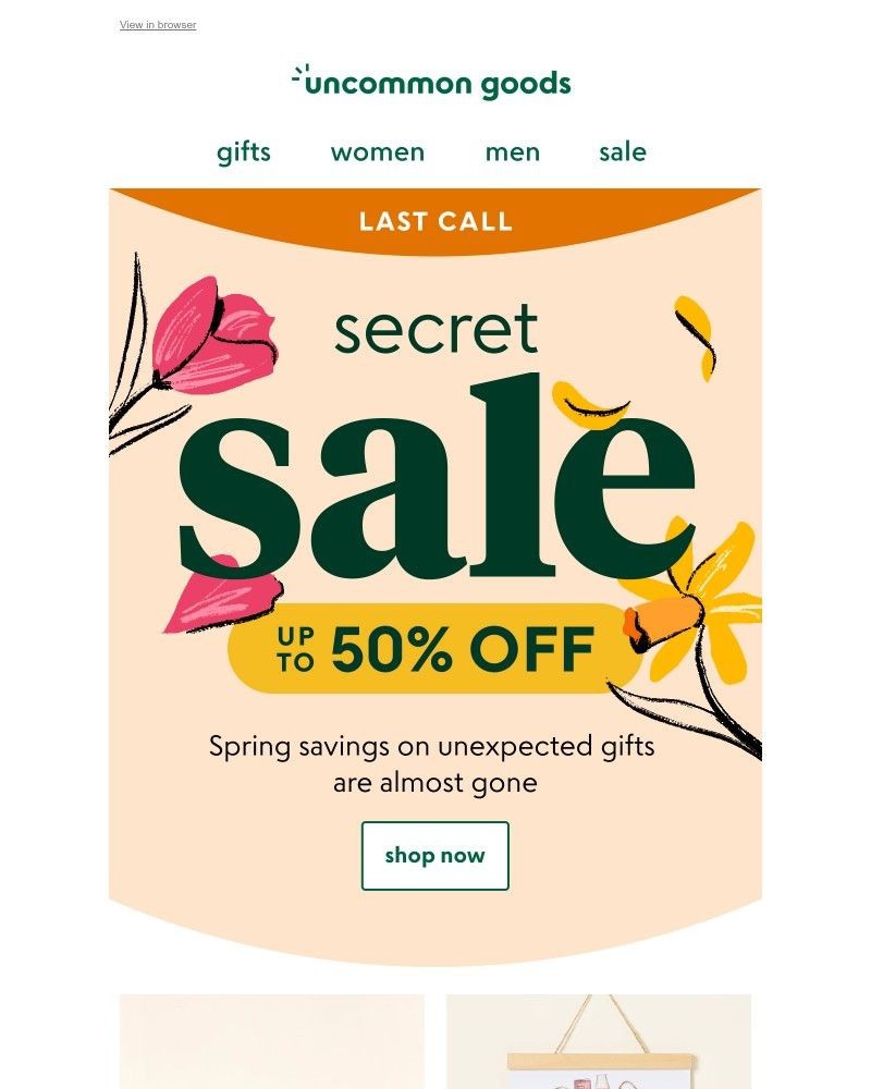 Screenshot of email with subject /media/emails/our-secret-sale-ends-today-61f705-cropped-498dabd1.jpg