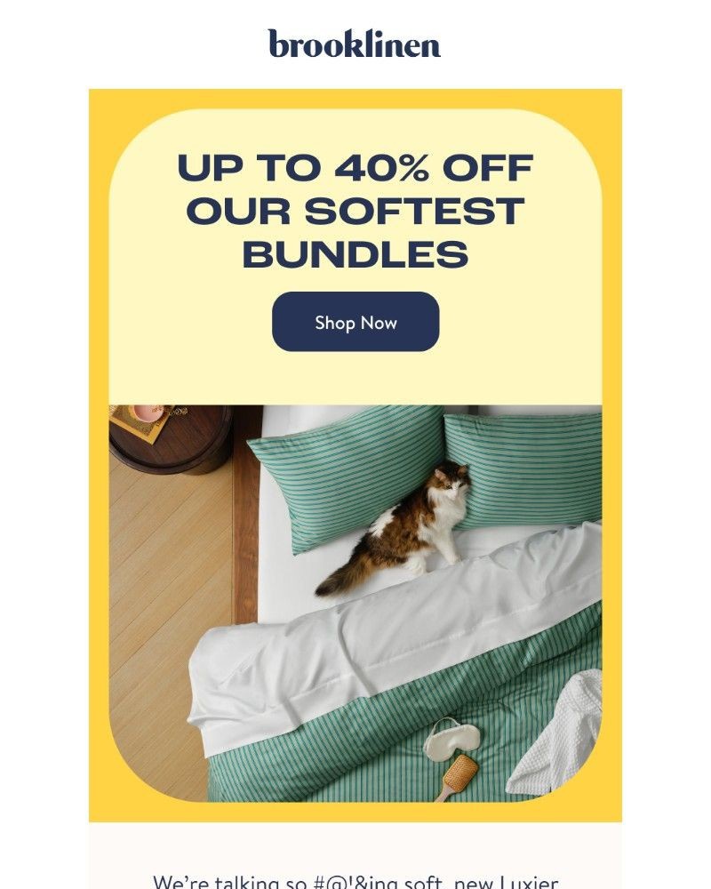 Screenshot of email with subject /media/emails/our-softest-bundles-are-up-to-40-off-15f76c-cropped-81b0c4e8.jpg