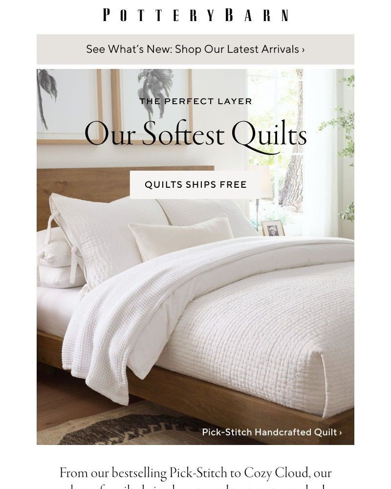 Screenshot of email with subject /media/emails/our-softest-quilts-ever-e880bc-cropped-a7cad984.jpg