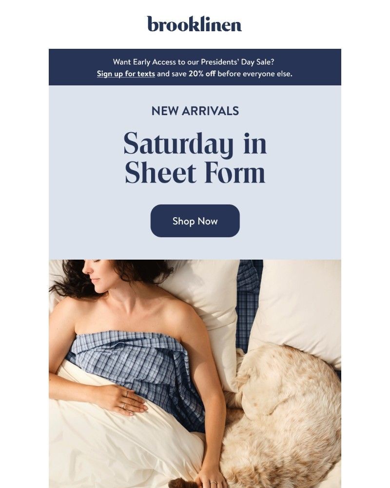 Screenshot of email with subject /media/emails/our-softest-sheets-are-selling-fast-85ec0e-cropped-79fbc755.jpg