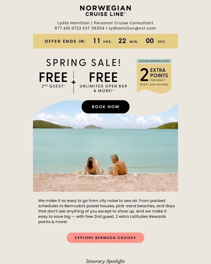 Screenshot of email with subject /media/emails/our-spring-sale-ends-soon-2bfe2e-cropped-ea327115.jpg