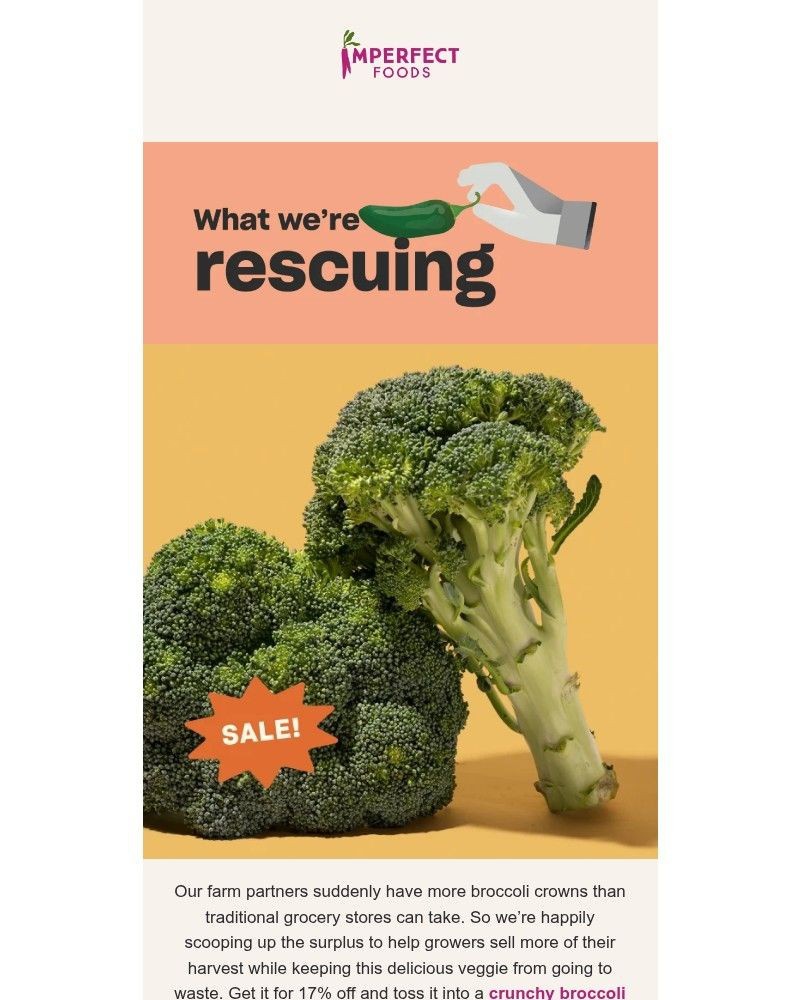 Screenshot of email sent to a Imperfect Foods Registered user