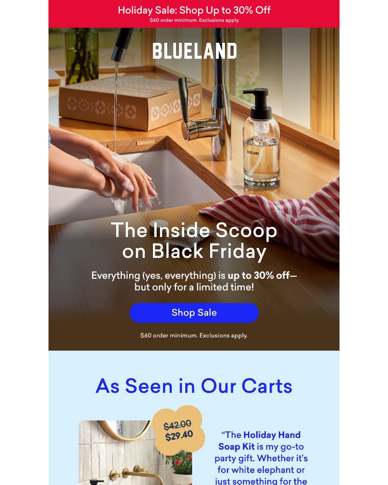 Screenshot of email sent to a Blueland Newsletter subscriber