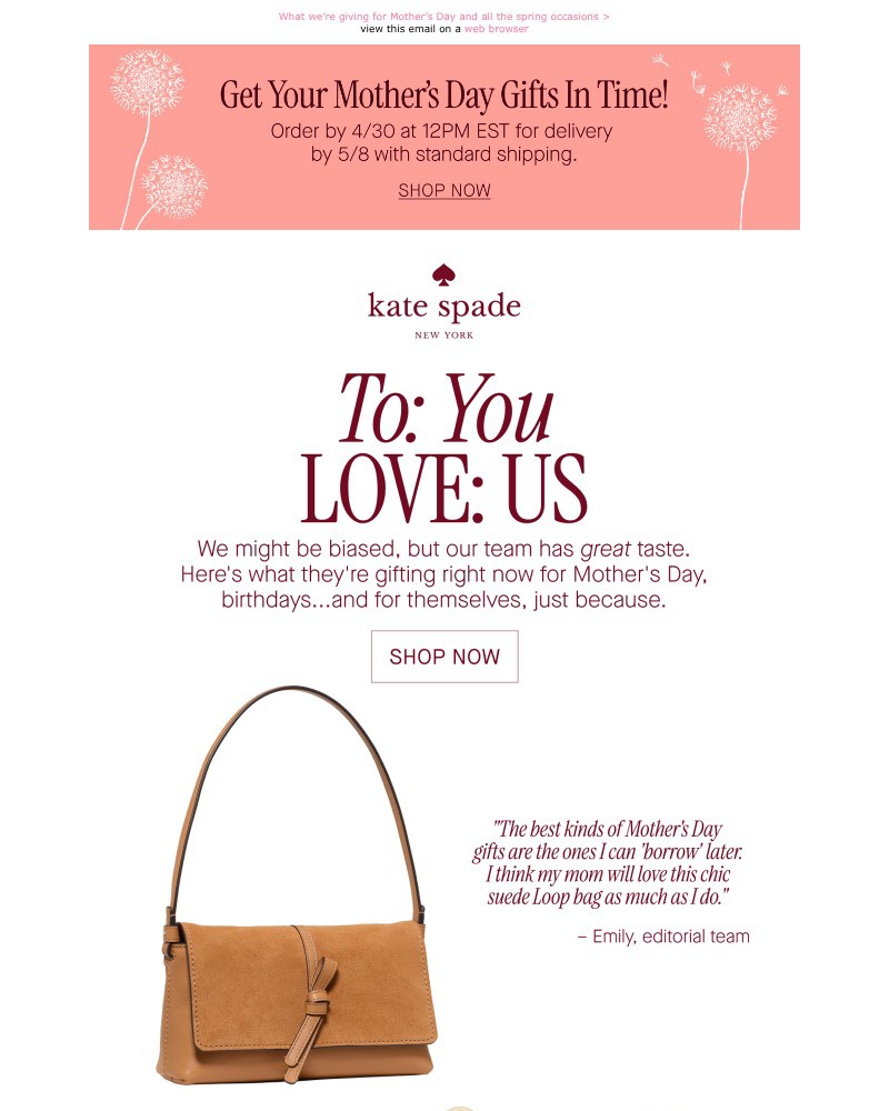 Screenshot of email with subject /media/emails/our-teams-spring-gift-picks-aaac55-cropped-29a71864.jpg
