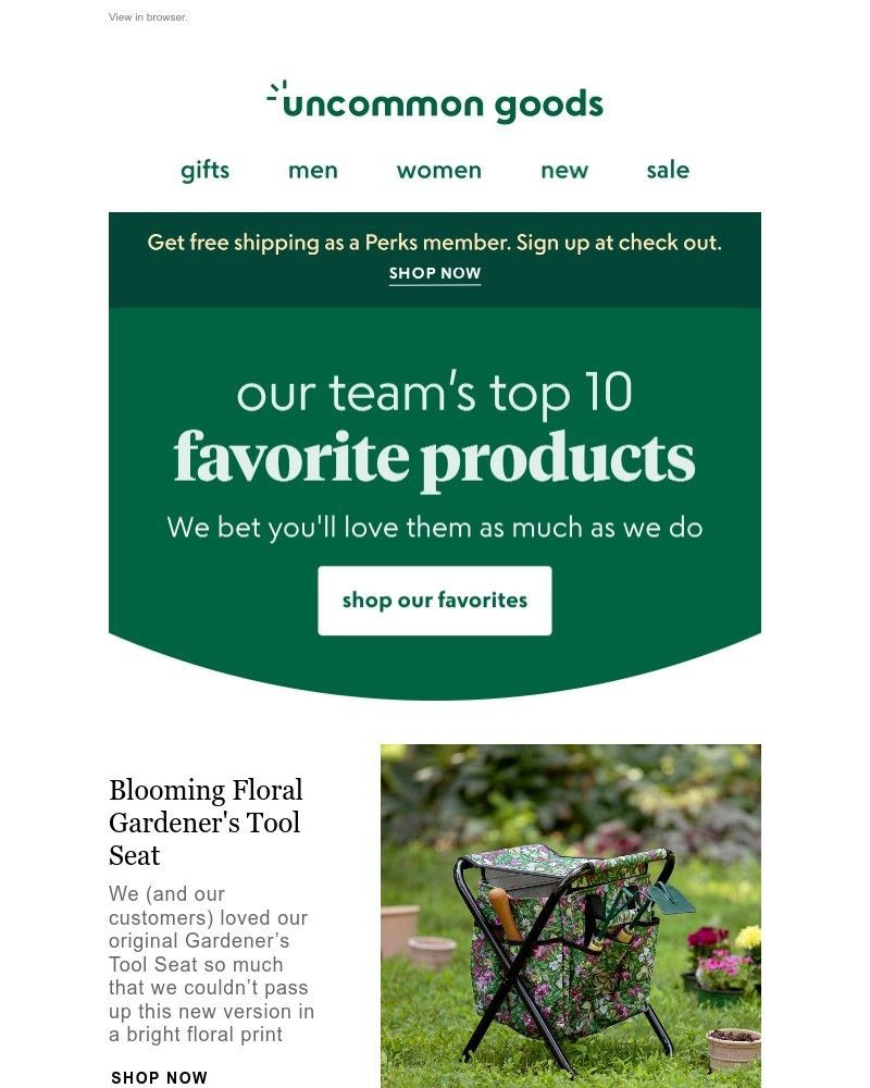 Screenshot of email with subject /media/emails/our-teams-top-10-favorite-products-adfac7-cropped-f7083b96.jpg