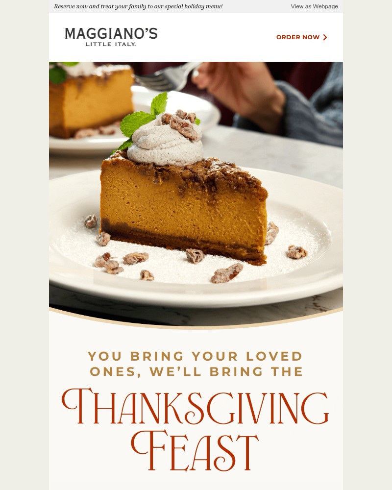 Screenshot of email with subject /media/emails/our-thanksgiving-feast-countdown-starts-now-8cb373-cropped-f69e79f5.jpg