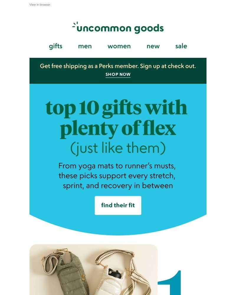 Screenshot of email with subject /media/emails/our-top-10-gifts-for-your-favorite-on-the-move-human-6245b5-cropped-47a7454b.jpg