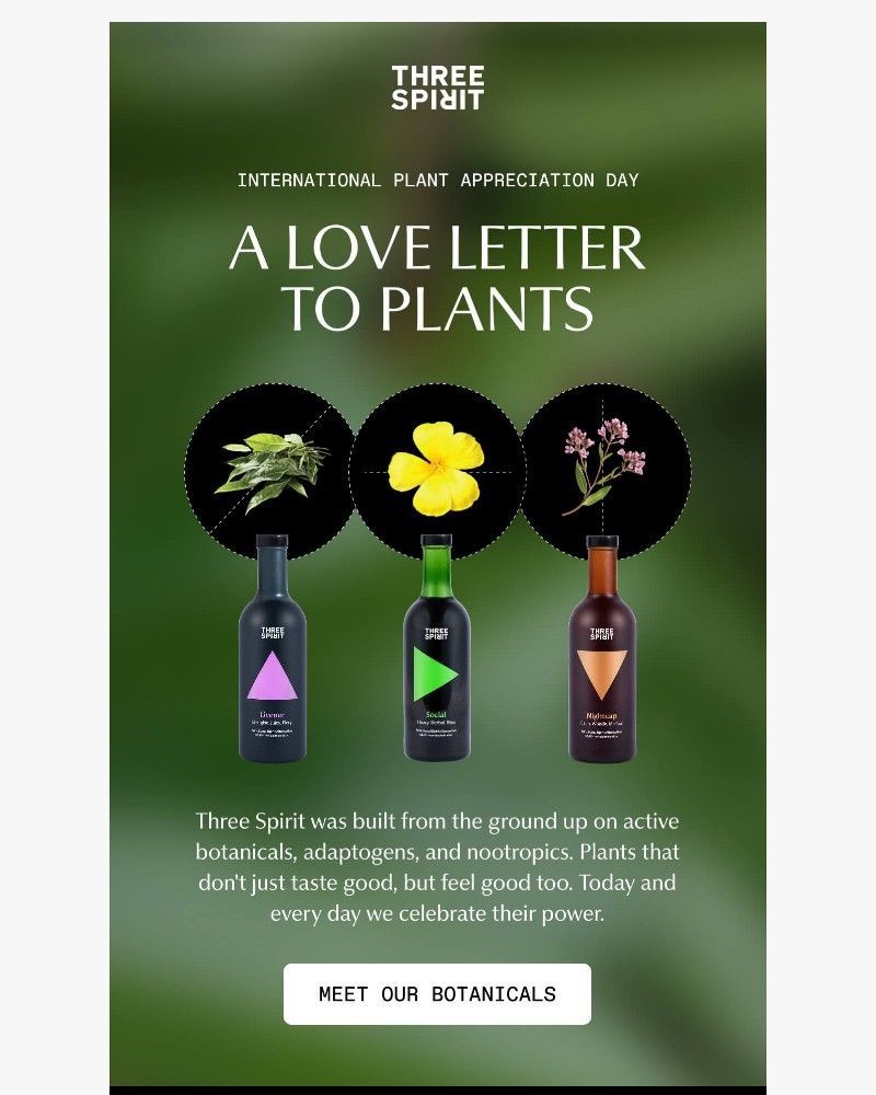 Screenshot of email with subject /media/emails/our-whole-brand-is-a-love-letter-to-plants-d819d6-cropped-f883d3a0.jpg