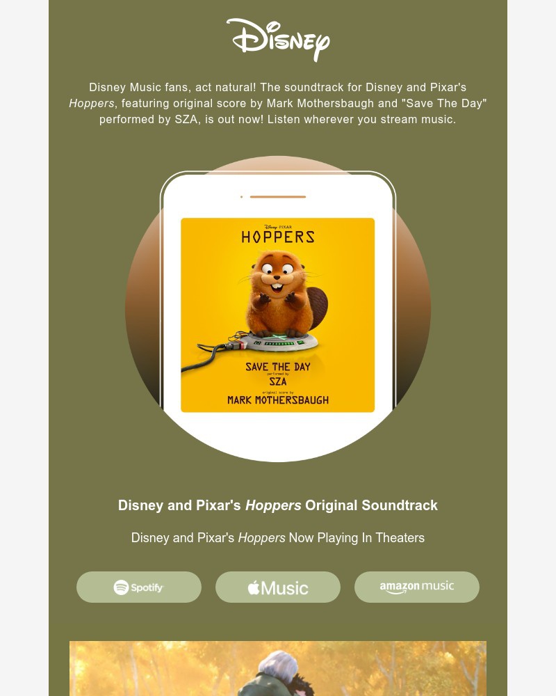 Screenshot of email sent to a Walt Disney World Resort Registered user