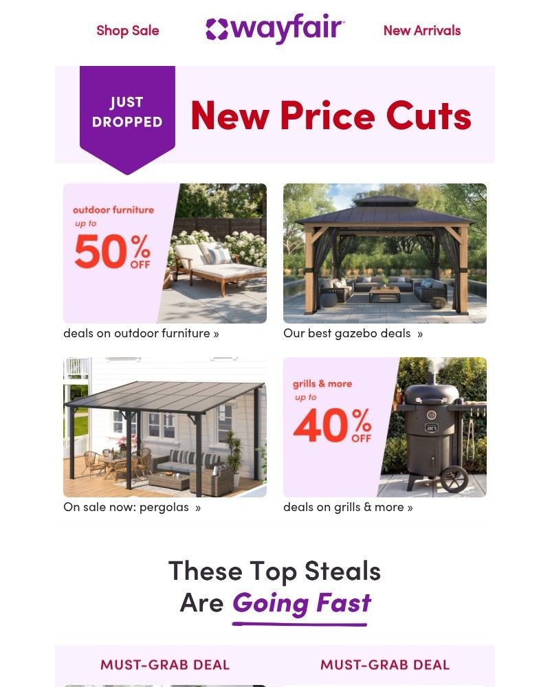 Screenshot of email sent to a Wayfair Newsletter subscriber