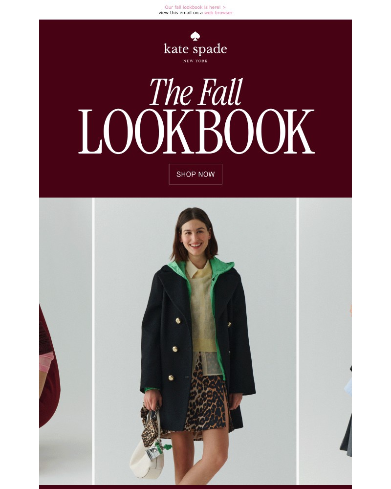 Screenshot of email with subject /media/emails/outfit-inspo-right-this-way-57a0e0-cropped-c4f89dea.jpg
