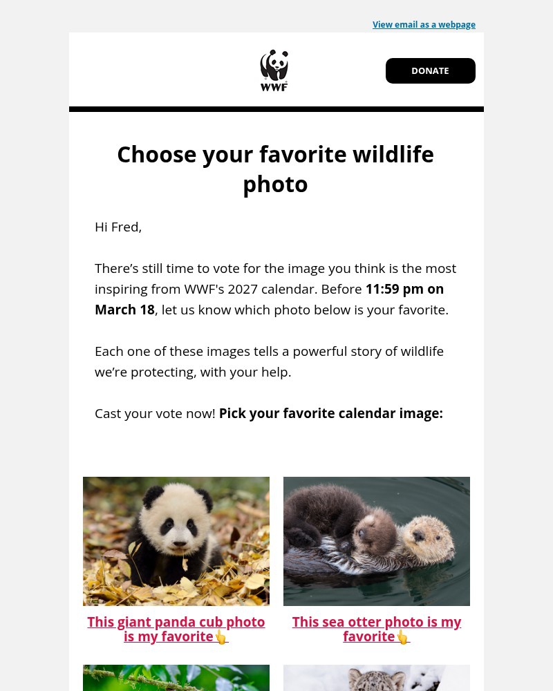 Screenshot of email sent to a World Wildlife Fund Newsletter subscriber