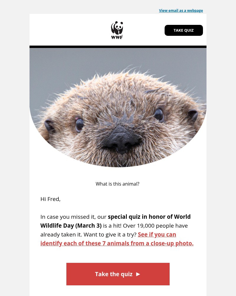 Screenshot of email with subject /media/emails/over-19000-have-taken-our-quiz-want-to-try-1ea7fb-cropped-911b353f.jpg