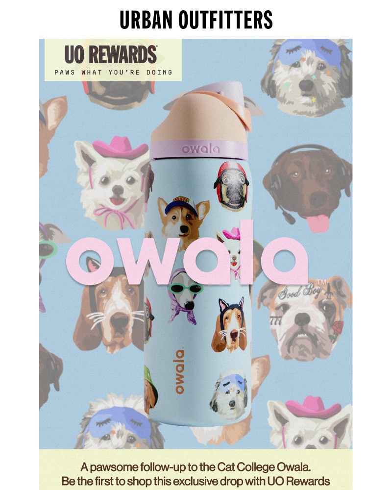 Screenshot of email with subject /media/emails/owala-dog-collage-is-here-4eb8e3-cropped-34b587e6.jpg