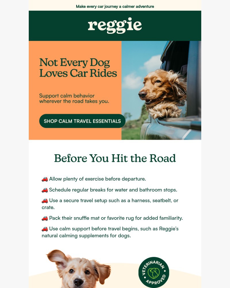Screenshot of email with subject /media/emails/pack-calmness-for-your-next-adventure-960b5f-cropped-6e87a79b.jpg