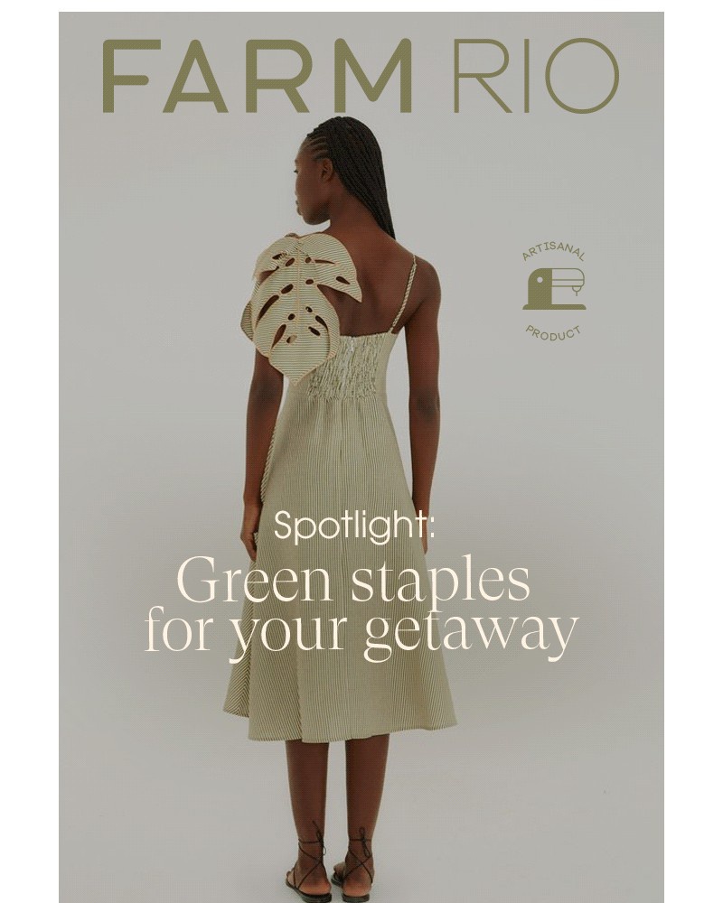 Screenshot of email with subject /media/emails/pack-green-staples-for-your-getaway-56f120-cropped-11b3cc4c.jpg