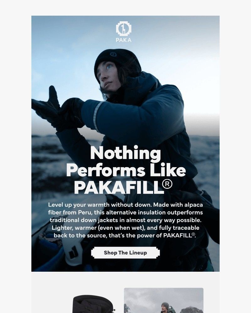 Screenshot of email sent to a Paka Newsletter subscriber