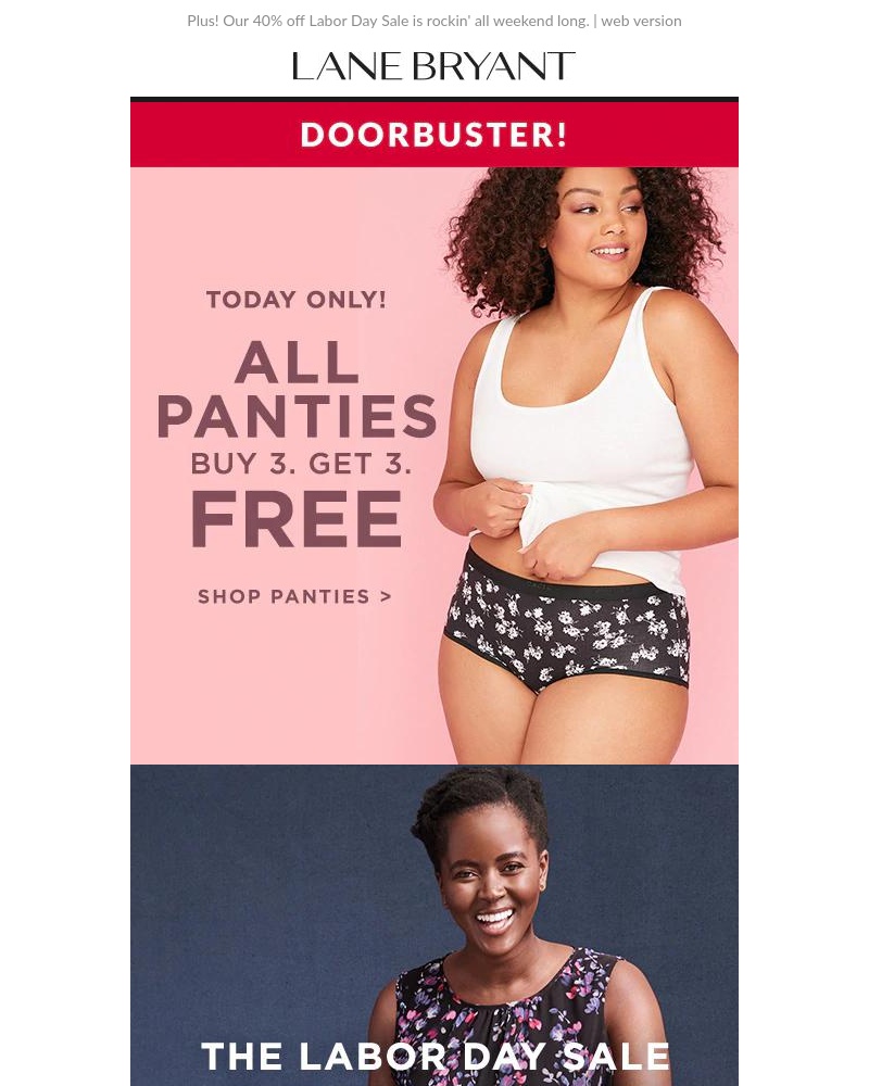 Screenshot of email with subject /media/emails/panty-raid-b3g3-free-panties-today-only-cropped-69c3b136.jpg