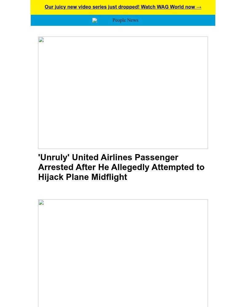 Screenshot of email with subject /media/emails/passenger-arrested-after-he-allegedly-attempted-to-hijack-plane-midflight-d14182-_RAXNRZp.jpg
