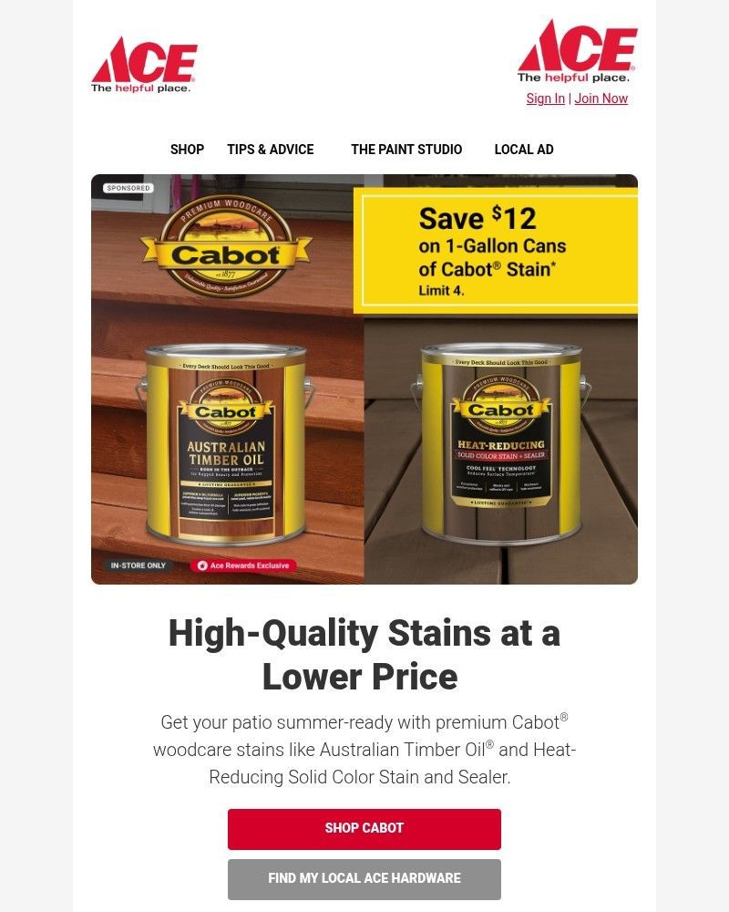 Screenshot of email sent to a Ace Hardware Newsletter subscriber