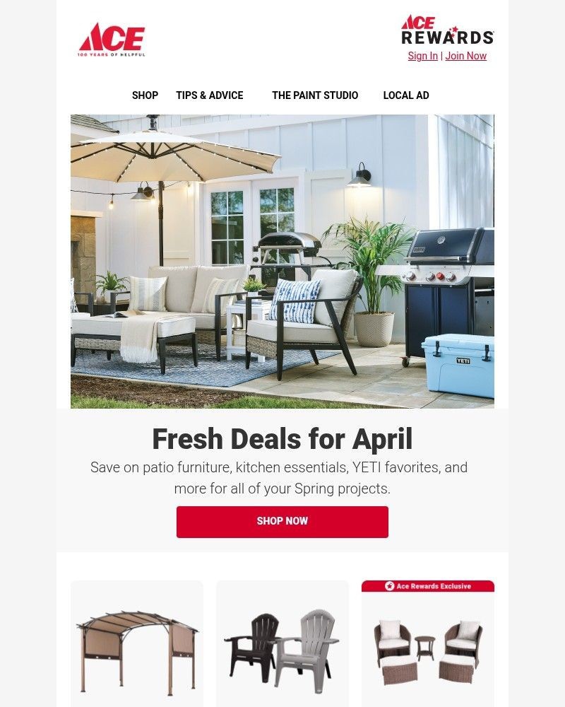 Screenshot of email sent to a Ace Hardware Newsletter subscriber