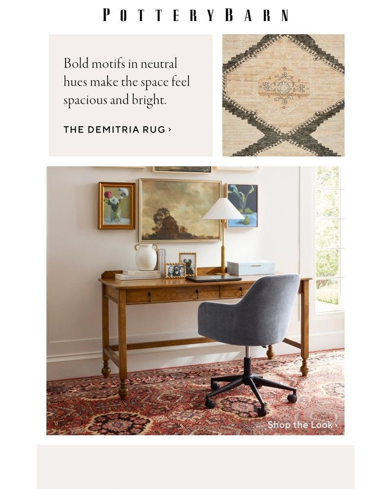 Screenshot of email with subject /media/emails/patterned-rugs-made-to-last-7cdf9c-cropped-2bab2469.jpg