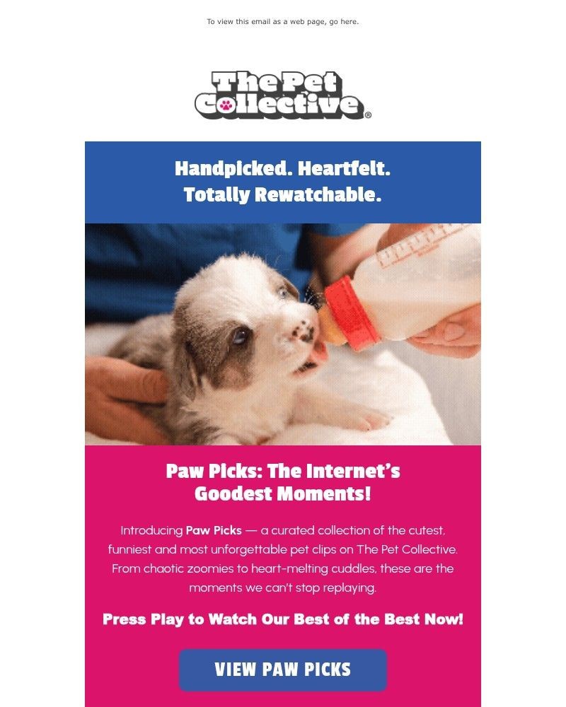 Screenshot of email with subject /media/emails/paw-picks-the-internets-goodest-moments-c6fa34-cropped-e42fe2ef.jpg