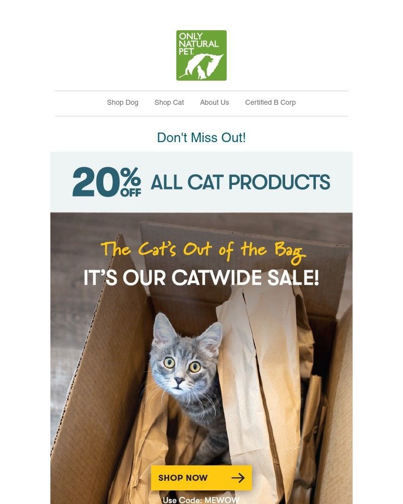 Screenshot of email with subject /media/emails/paws-and-take-20-off-everything-cat-d2ba3c-cropped-081d8b3b.jpg