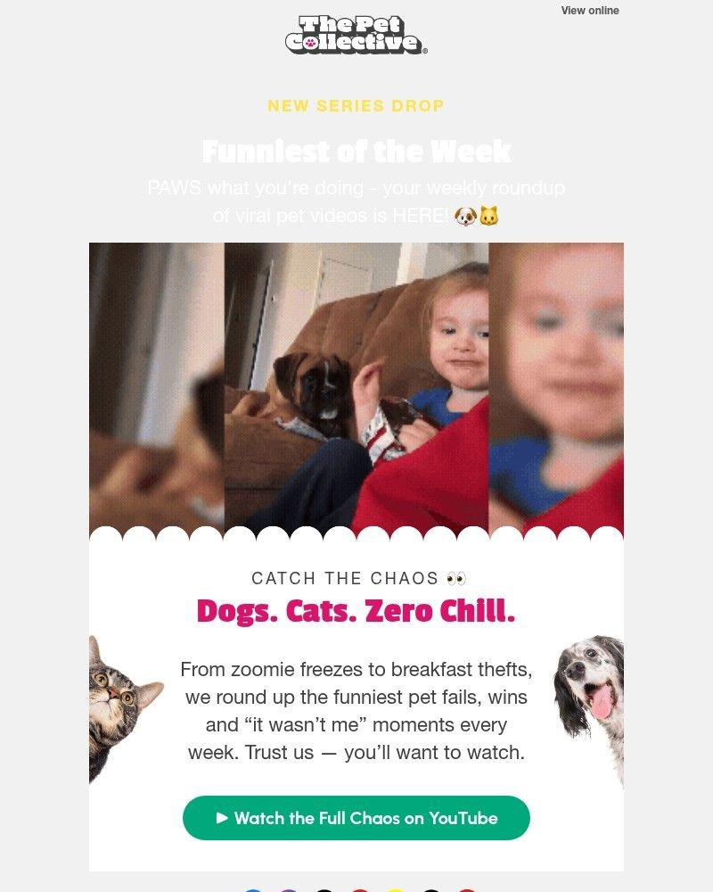 Screenshot of email sent to a Reader’s Digest Newsletter subscriber