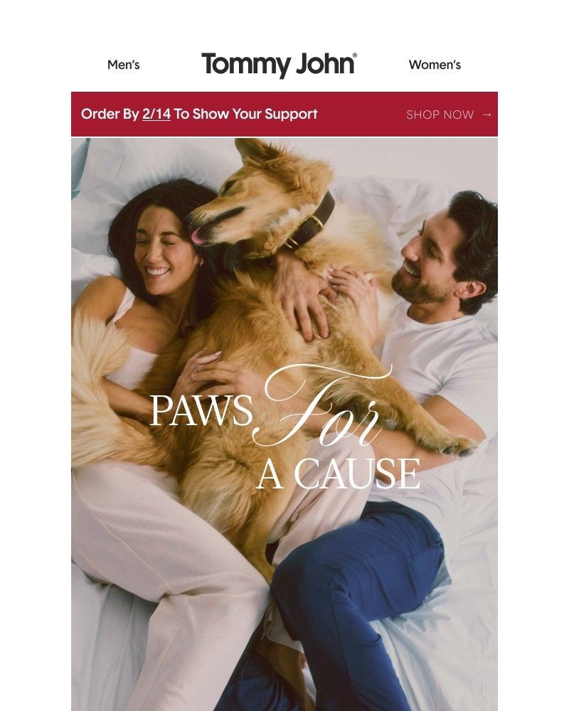 Screenshot of email with subject /media/emails/paws-for-a-cause-acddb7-cropped-56706c90.jpg