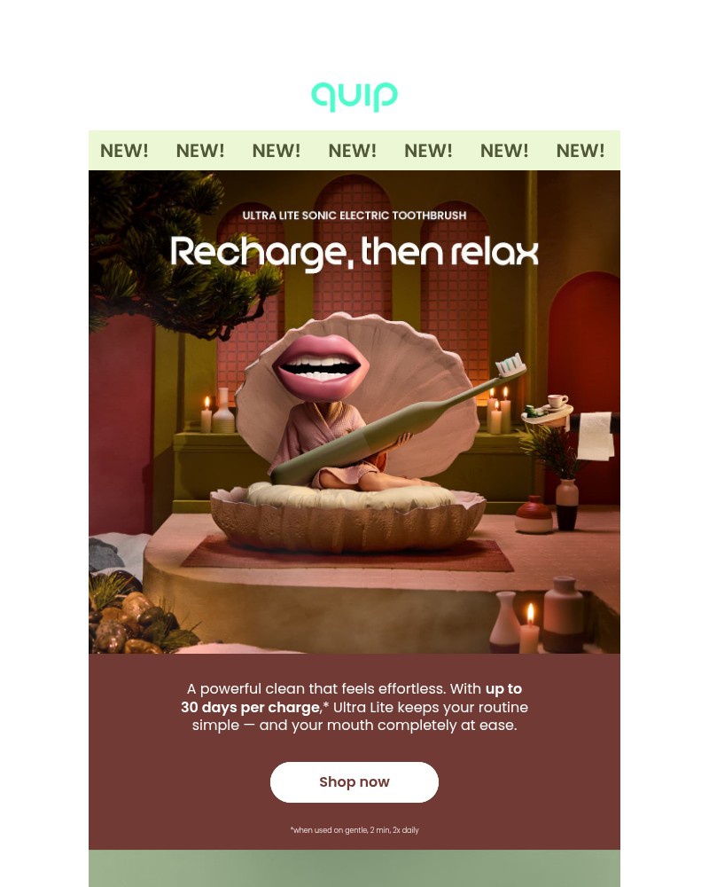 Screenshot of email sent to a Quip Newsletter subscriber