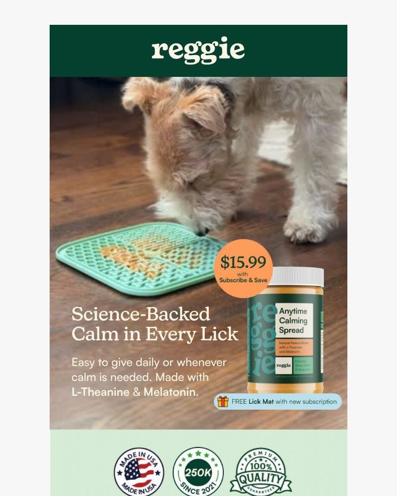 Screenshot of email with subject /media/emails/peanut-butter-lovers-day-heres-what-every-dog-parent-should-know-f9d64e-cropped-5bb8de1e.jpg